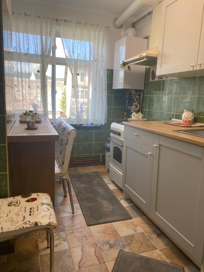 Apartament Apartament Ultracentral David Pucioasa Zewnętrze zdjęcie