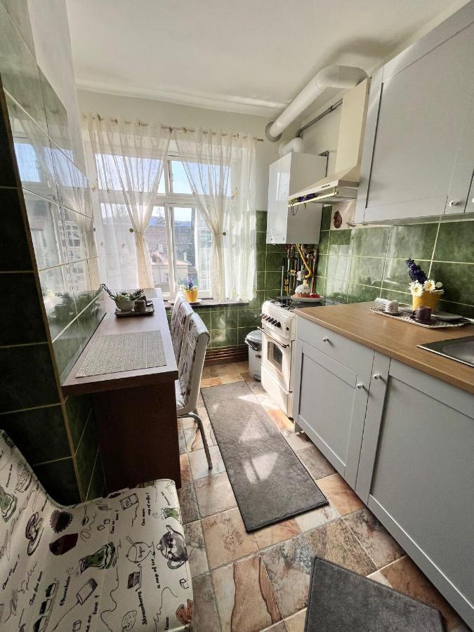 Apartament Apartament Ultracentral David Pucioasa Zewnętrze zdjęcie