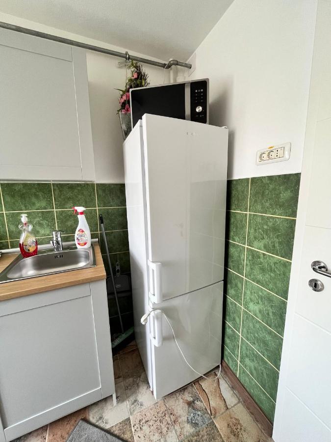 Apartament Apartament Ultracentral David Pucioasa Zewnętrze zdjęcie