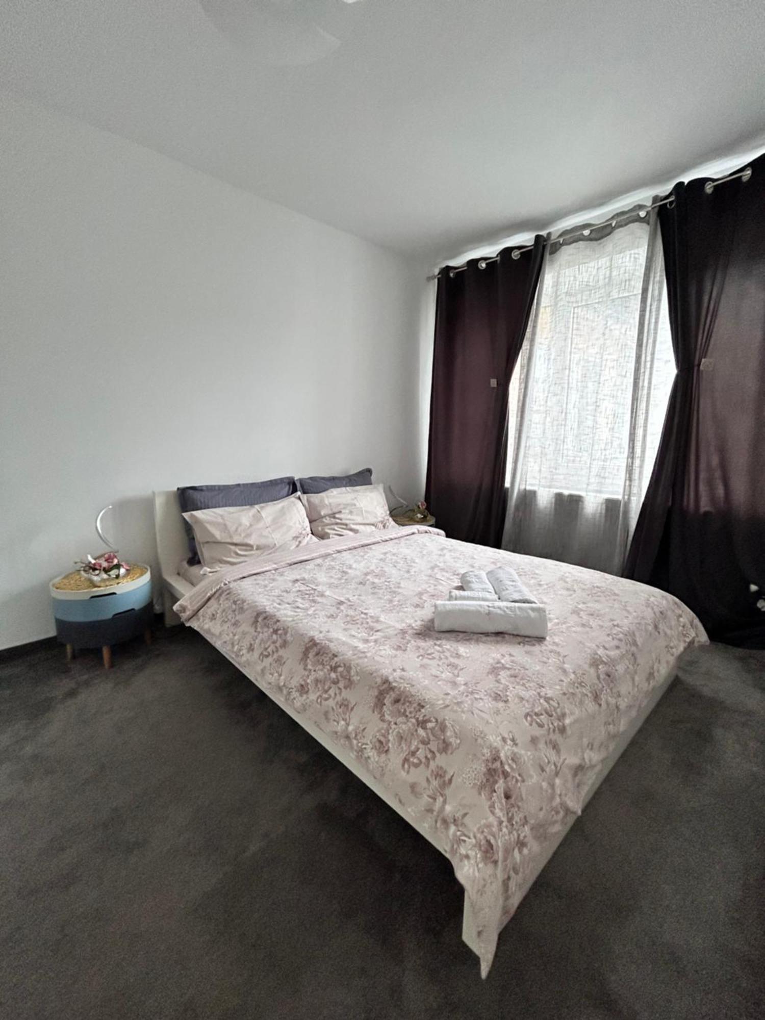 Apartament Apartament David Pucioasa Zewnętrze zdjęcie